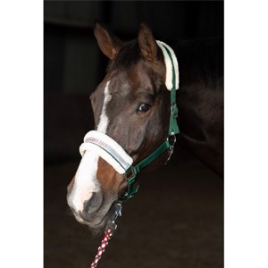 Harrys Horse grimesæt Christmas